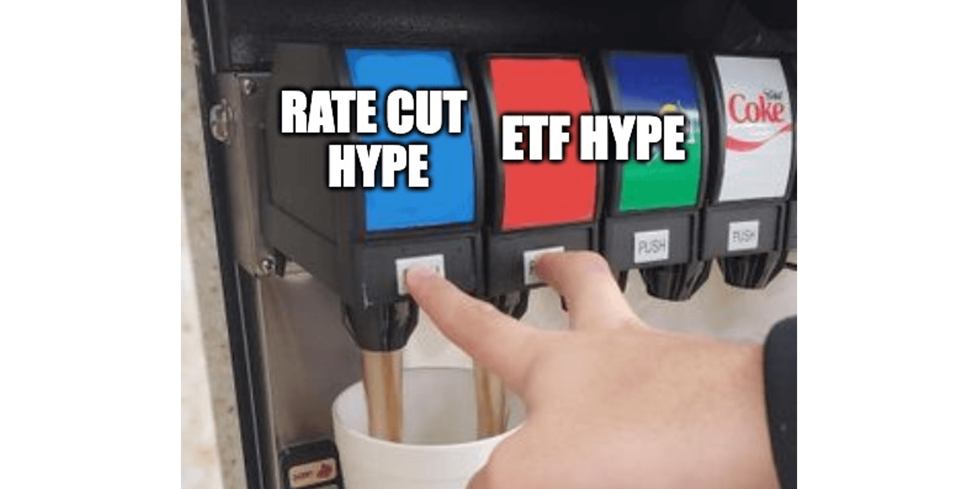 月間マーケットレポート