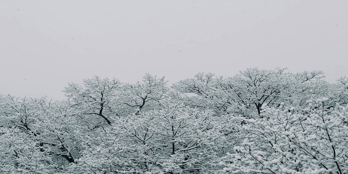 ビットコイン週次分析|1097万円まで急騰も上値重い展開、デリバティブとオンチェーンが示す弱気シグナル