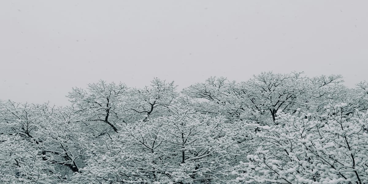 ビットコイン週次分析|1097万円まで急騰も上値重い展開、デリバティブとオンチェーンが示す弱気シグナル