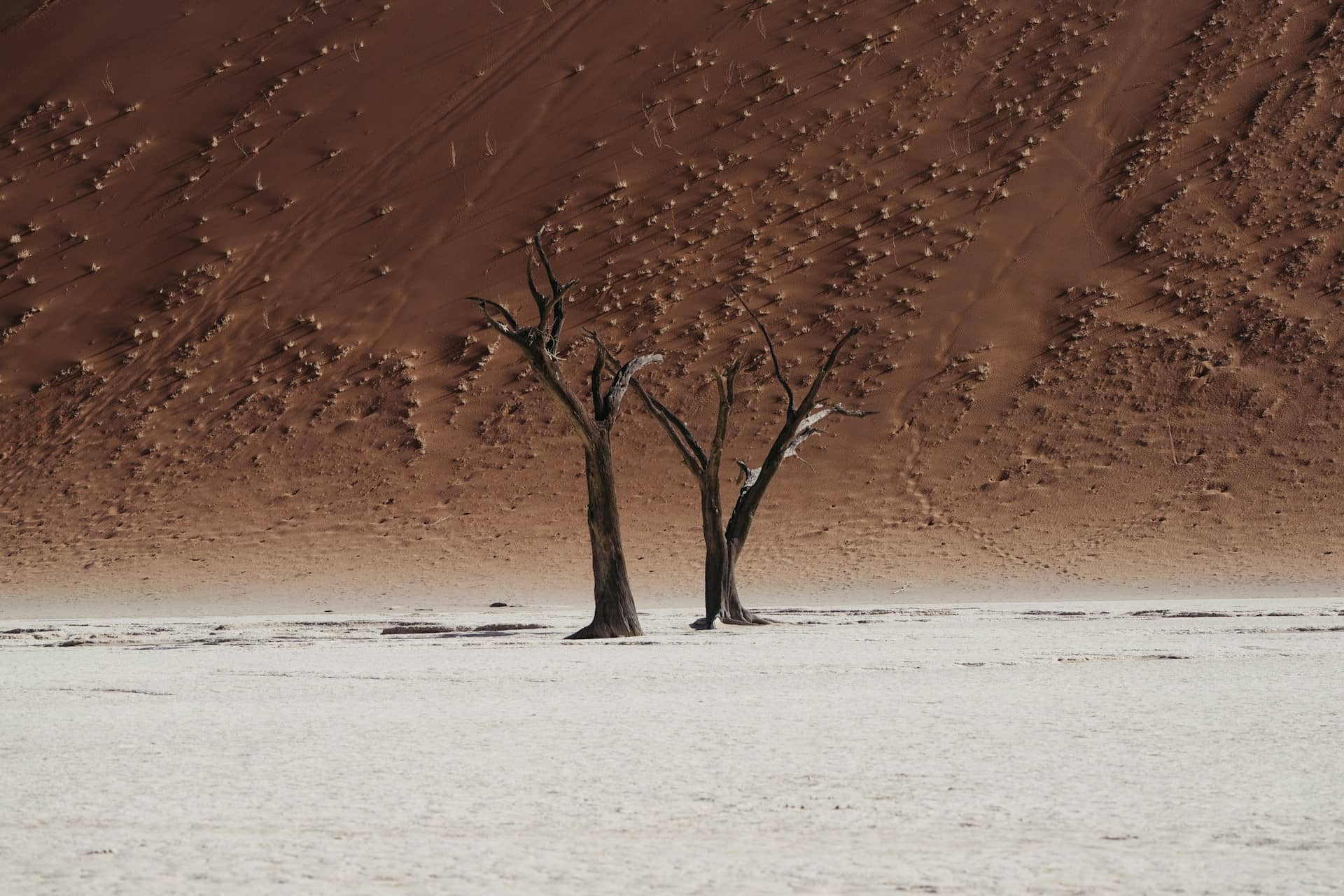 上昇一服で調整局面 デリバティブとオンチェーン動向