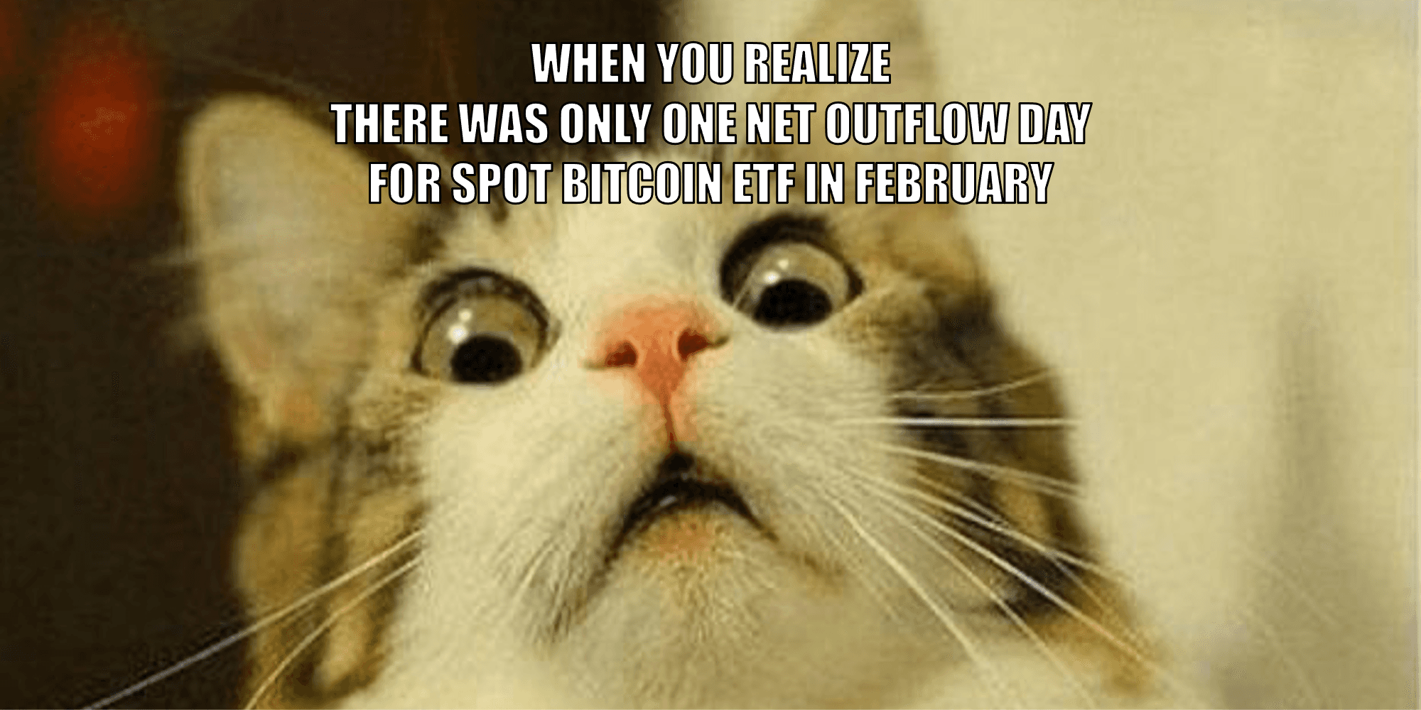 月間マーケットレポート