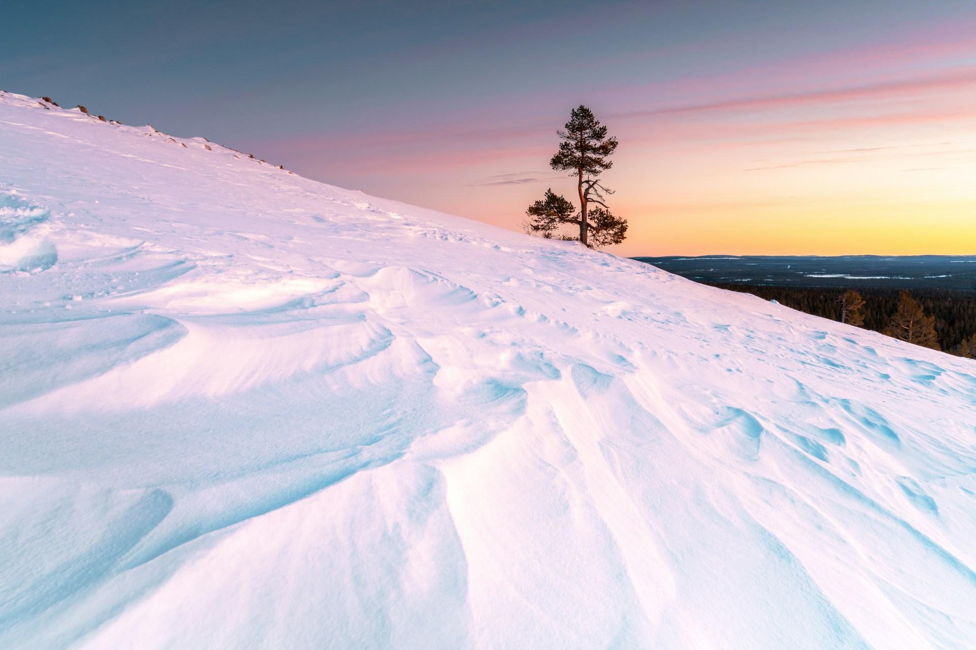 価格は下落も無期限先物は買われる、下方向への清算には警戒
