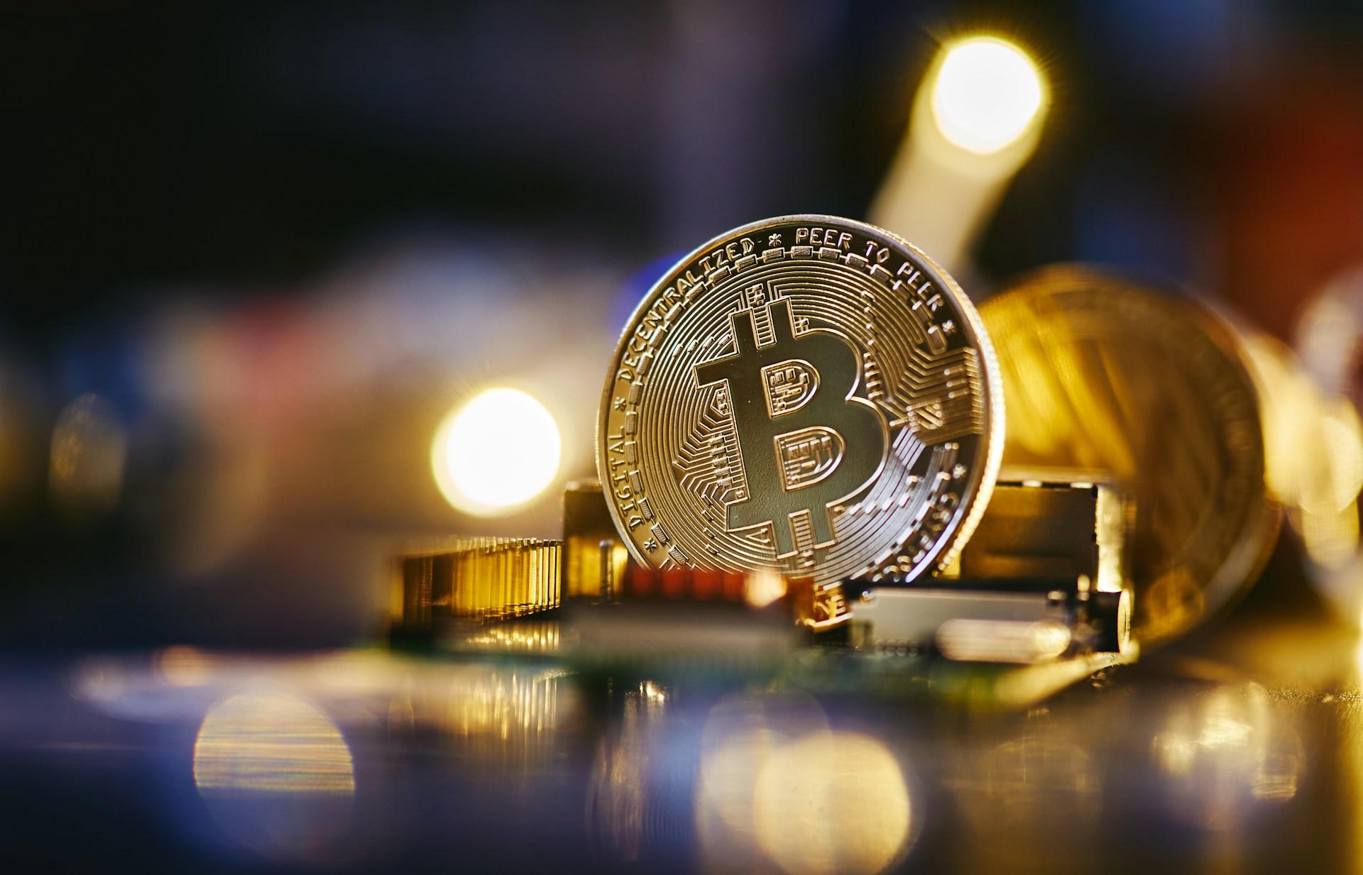 【初心者向け】ビットコインのドミナンスとは?特徴や投資に役立つ理論を解説
