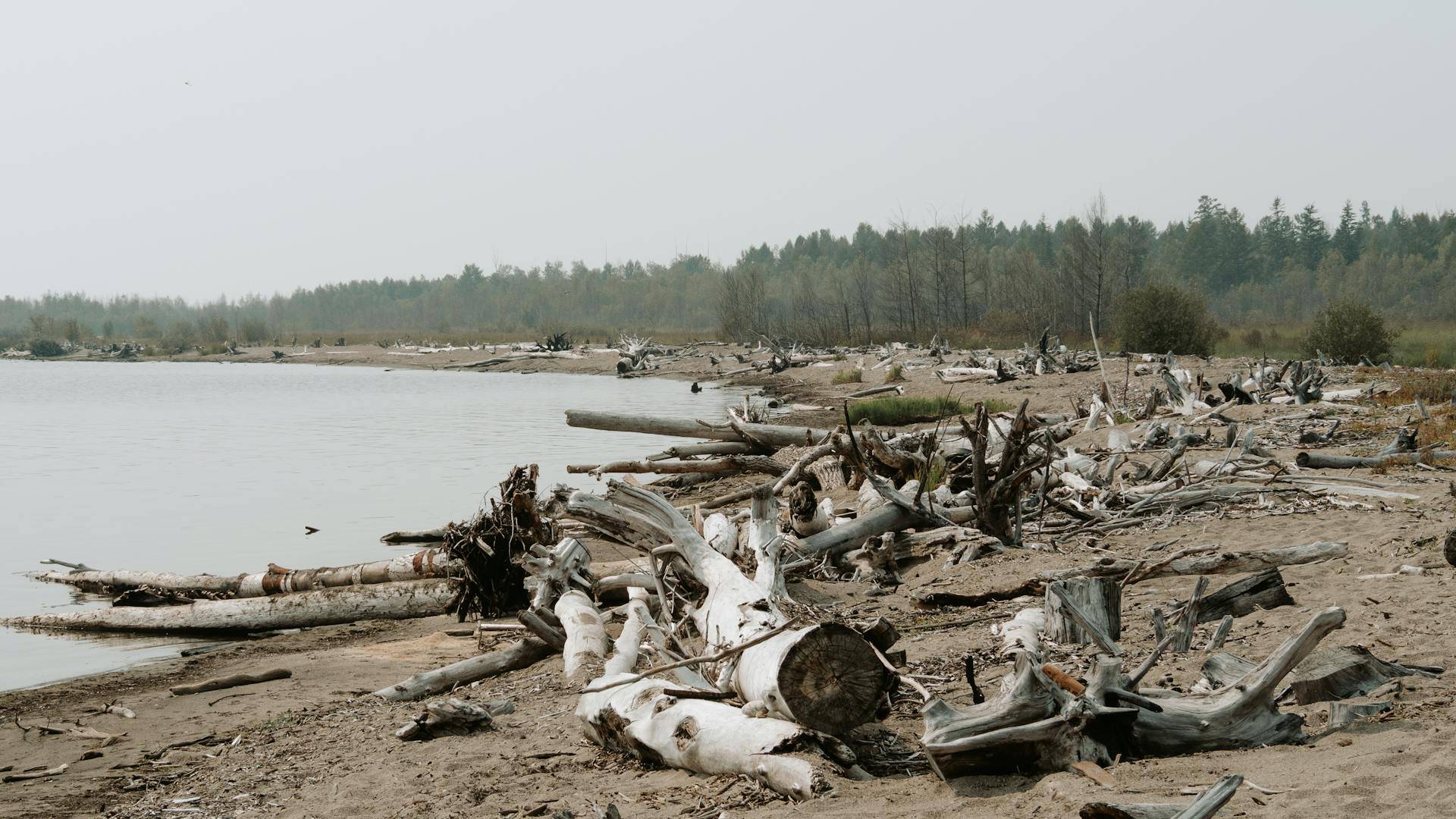 テクニカル分析
