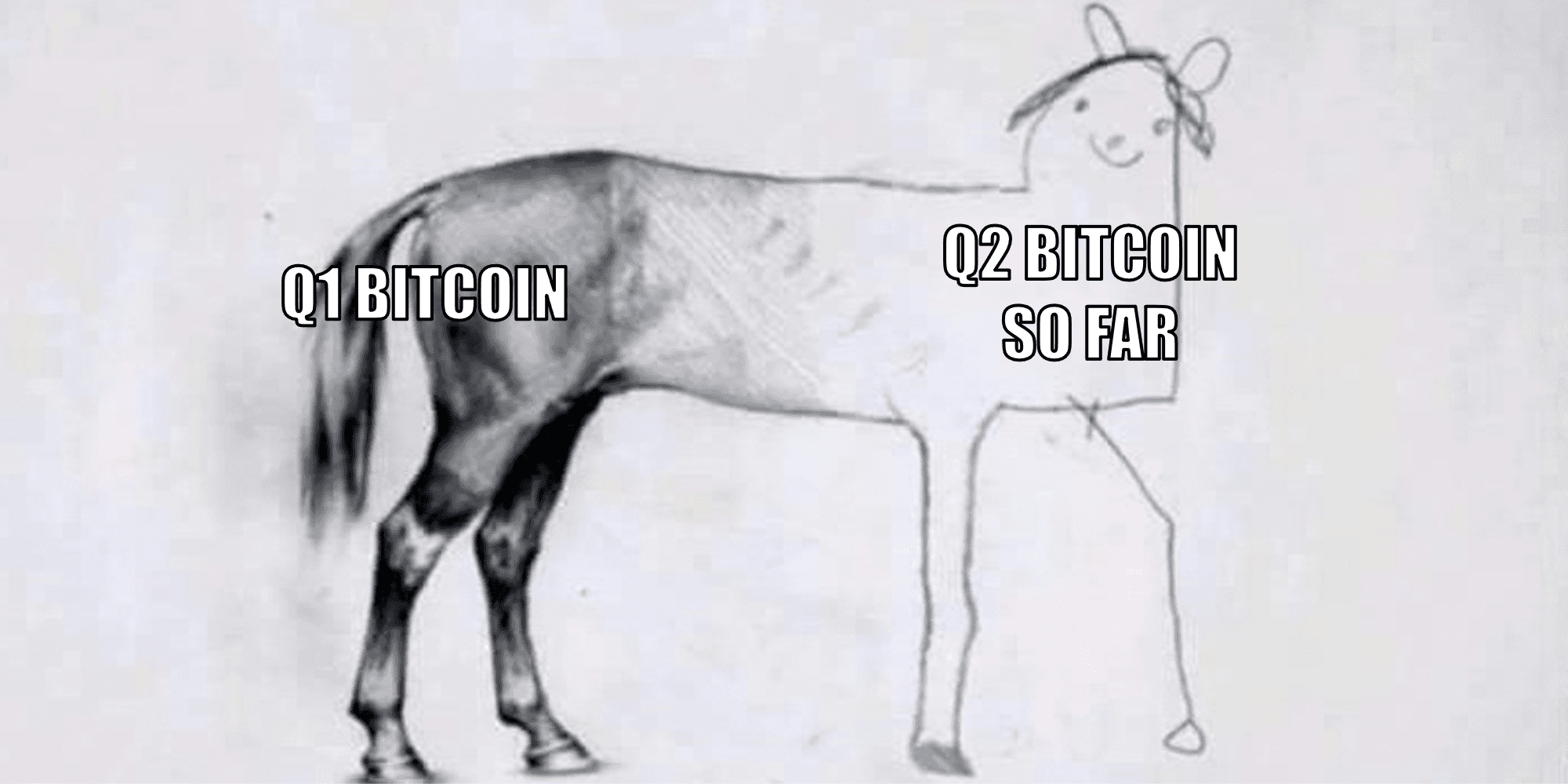 月間マーケットレポート