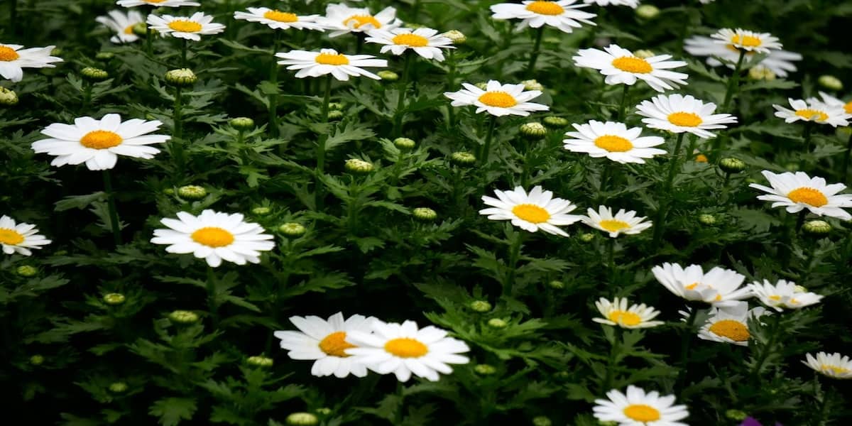 ビットコイン週間レビュー