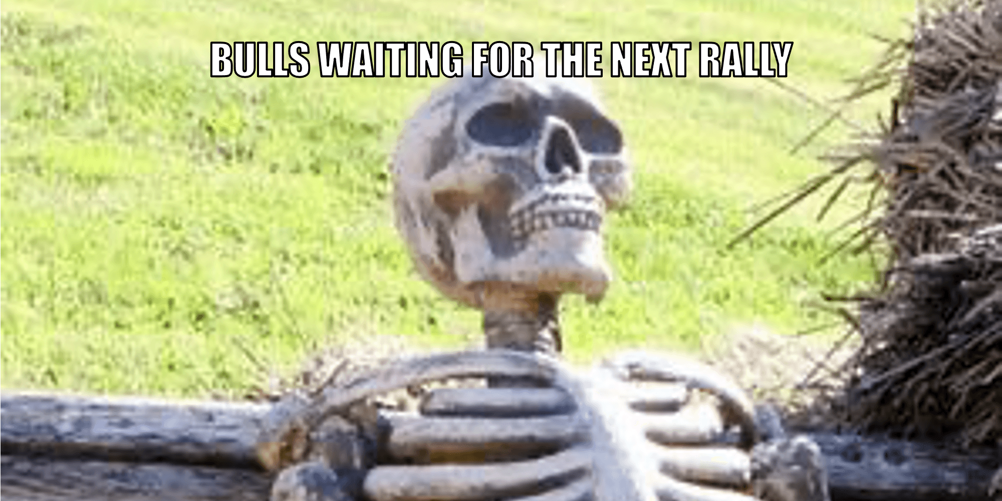 月間マーケットレポート