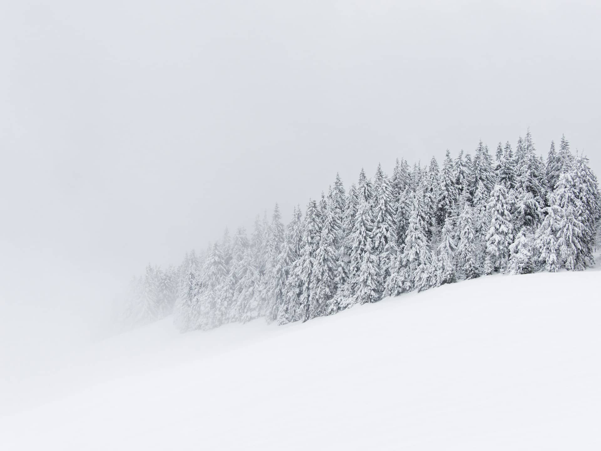 BTC週間分析|デリバティブ・オンチェーンともに弱気継続