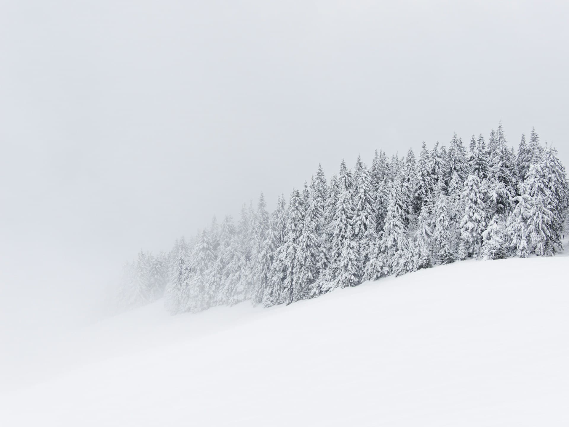 BTC週間分析|デリバティブ・オンチェーンともに弱気継続