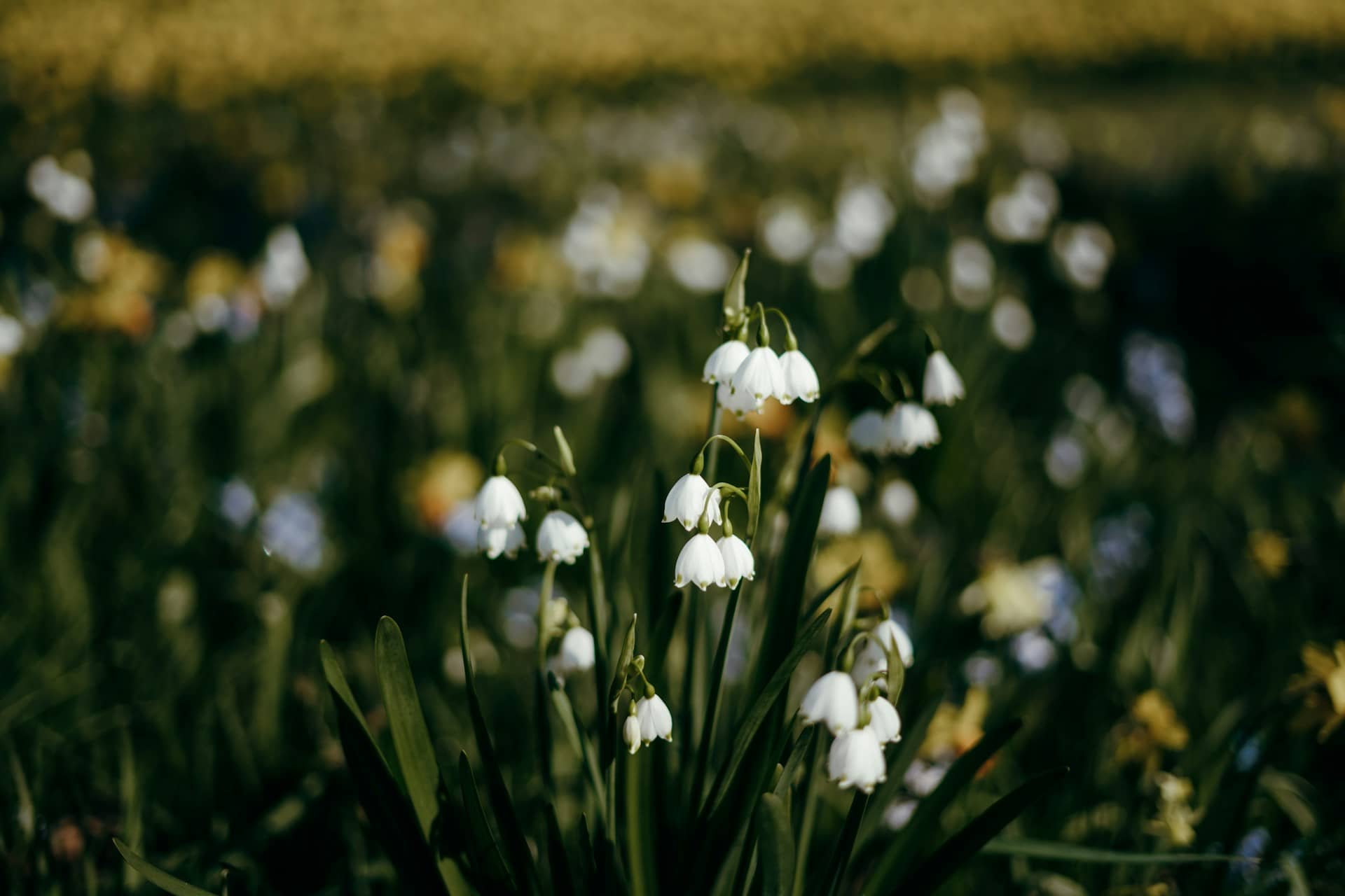 BTC週次分析|強い値動き続く一方、デリバティブ市場は慎重姿勢