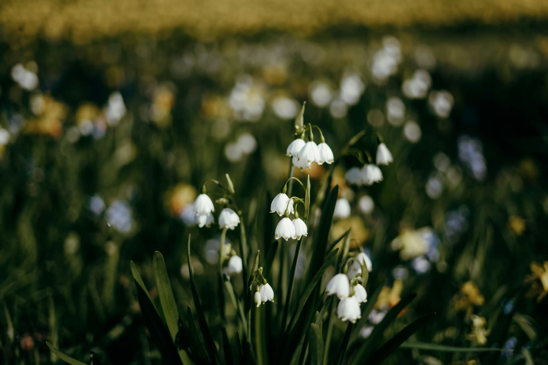 BTC週次分析|強い値動き続く一方、デリバティブ市場は慎重姿勢