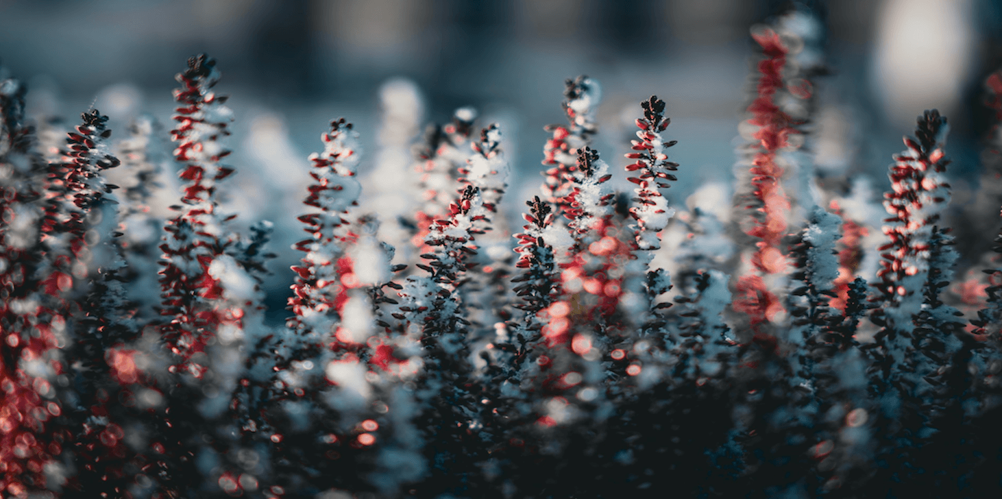 ビットコインの長期投資家の売りは一巡か?相場の底堅さの要因となっている