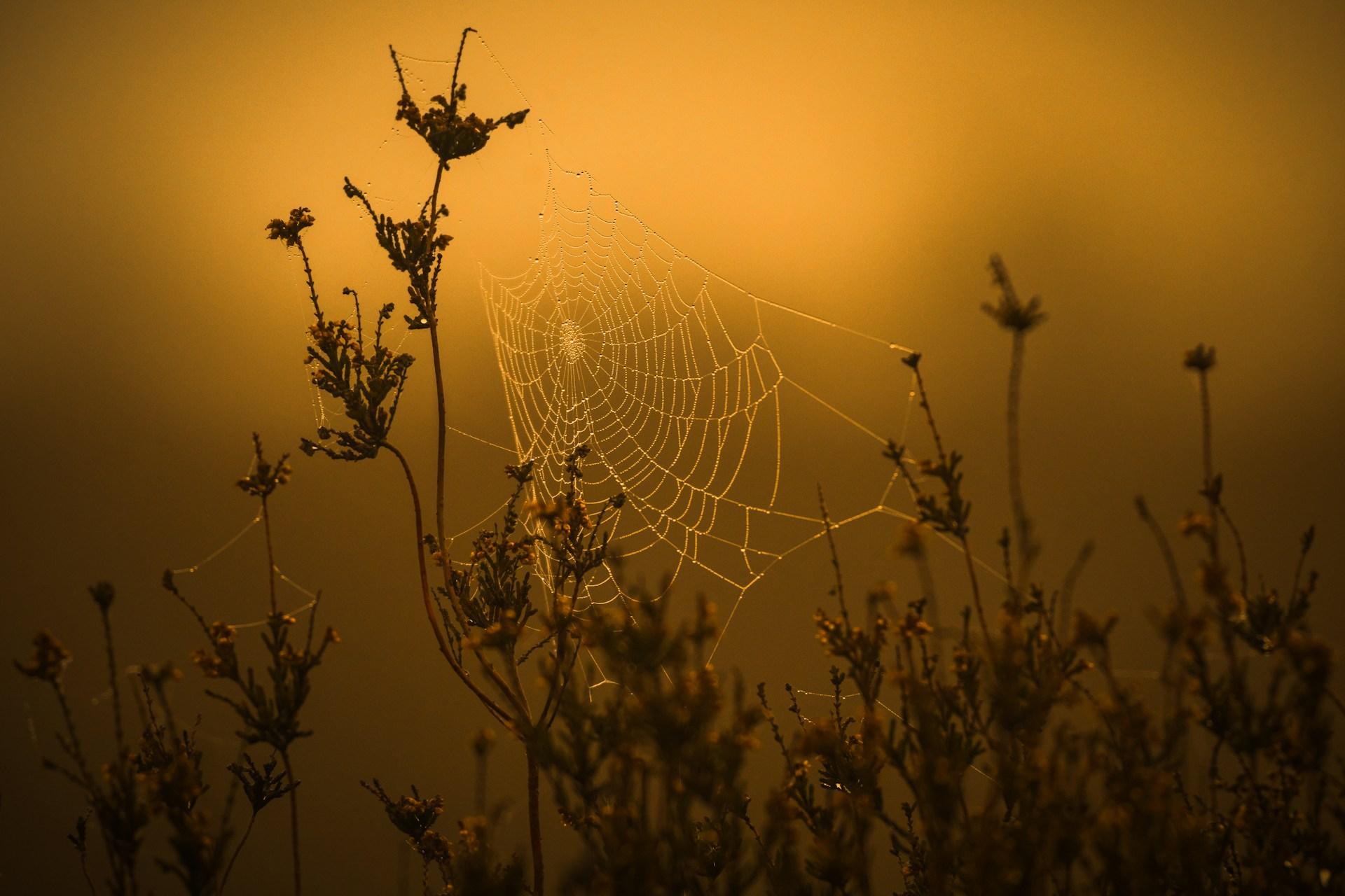 デリバティブ市場ではまだ買われている状況、トレンド展開は想定しずらい状況