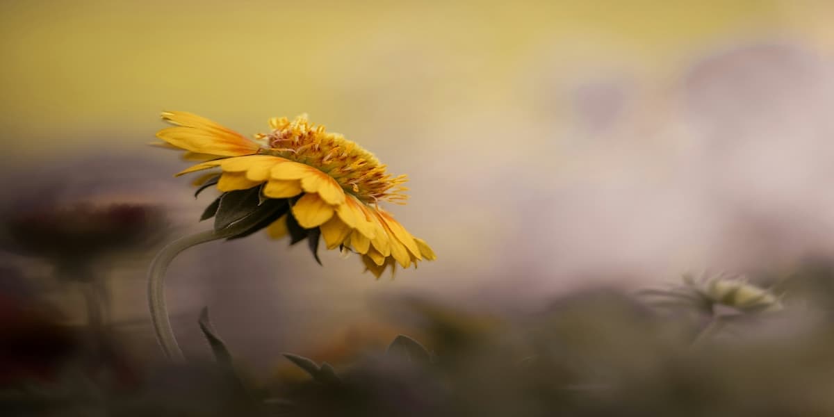 BTC週次分析|利益確定売りをこなせるか、ビットコイン正念場の1200万円