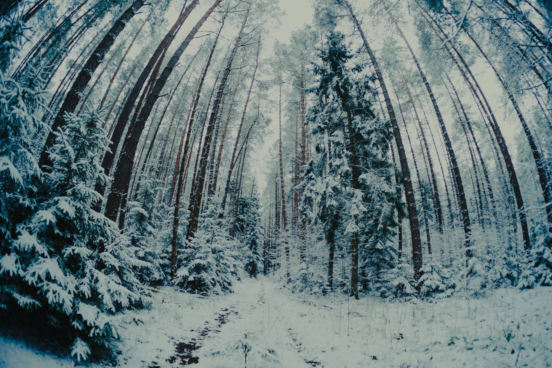 オンチェーンデータには変化が見られる、需給が改善している可能性あり