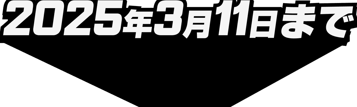 2025年3月11日まで