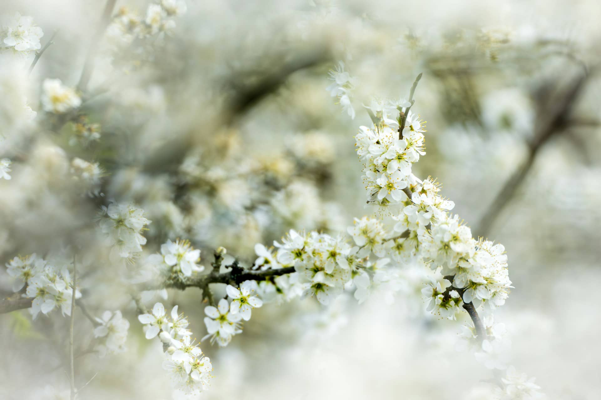 ビットコイン週間レビュー